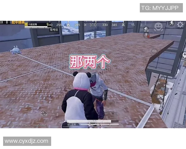 电竞比分对话赵娜畅谈和平精英职业生涯与成长历程